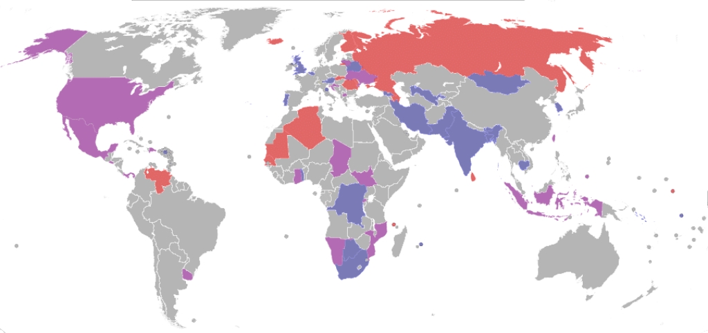 The Year Half the World Voted: Have we learned what we needed to know? Political Analysis in 2024